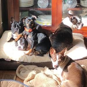 Meet your Posher, Donna